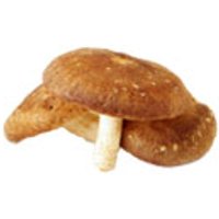 Shiitake Obst, Gemüse & Eier Pilze