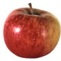 Äpfel Topaz Obst, Gemüse & Eier Obst & Nüsse