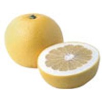 Grapefruits, weiß Obst, Gemüse & Eier Obst & Nüsse