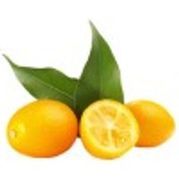 Kumquats Obst, Gemüse & Eier Obst & Nüsse