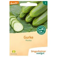 Salatgurken Persika Saaten & Hülsenfrüchte Saatgut: Gemüse & Obst