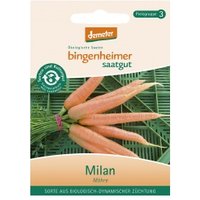 Karotten Milan Saaten & Hülsenfrüchte Saatgut: Gemüse & Obst