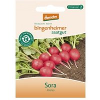 Radieschen Sora Saaten & Hülsenfrüchte Saatgut: Gemüse & Obst