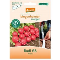 Radieschen-Saatband Rudi GS Saaten & Hülsenfrüchte Saatgut: Gemüse & Obst