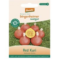 Hokkaido-Kürbis Red Kuri Saaten & Hülsenfrüchte Saatgut: Gemüse & Obst