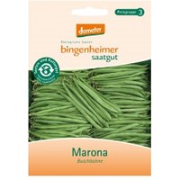 Buschbohnen Marona Saaten & Hülsenfrüchte Saatgut: Gemüse & Obst
