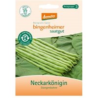 Stangenbohnen Neckarkönigin Saaten & Hülsenfrüchte Saatgut: Gemüse & Obst