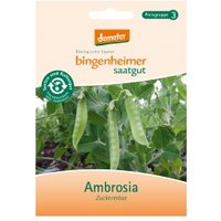 Zuckererbsen Ambrosia Saaten & Hülsenfrüchte Saatgut: Gemüse & Obst