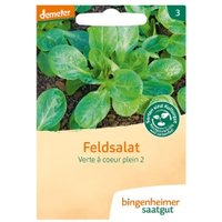 Feldsalat Verte à coeur plein Saaten & Hülsenfrüchte Saatgut: Gemüse & Obst
