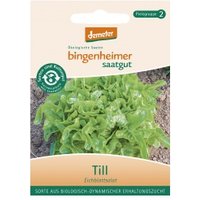 Eichblattsalat Till Saaten & Hülsenfrüchte Saatgut: Gemüse & Obst
