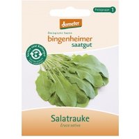 Rucola / Salatrauke Saaten & Hülsenfrüchte Saatgut: Gemüse & Obst