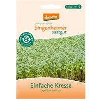 Einfache Kresse Saaten & Hülsenfrüchte Saatgut: Kräuter