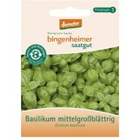 Basilikum, mittelgroßblättrig Saaten & Hülsenfrüchte Saatgut: Kräuter
