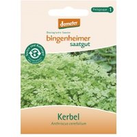 Kerbel Saaten & Hülsenfrüchte Saatgut: Kräuter
