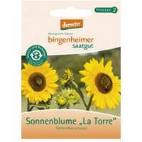 Sonnenblume La Torre Saaten & Hülsenfrüchte Saatgut: Blumen