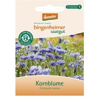 Kornblume Saaten & Hülsenfrüchte Saatgut: Blumen