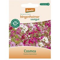 Cosmea Saaten & Hülsenfrüchte Saatgut: Blumen