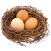 Bergkräuter-Eier (12er-Pack) Obst, Gemüse & Eier Eier