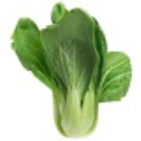 Pak Choy Obst, Gemüse & Eier Gemüse