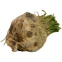 Sellerieknollen (1 kg) Obst, Gemüse & Eier Gemüse