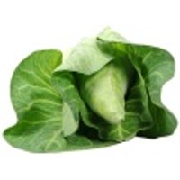 Spitzkohl (1 kg) Obst, Gemüse & Eier Gemüse
