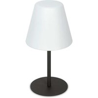 Arcadia Outdoor Pedestal Light Anthracite Grey IP44