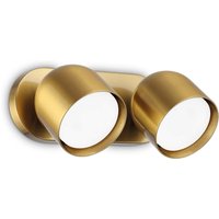 Dodo 2 Light Twin Ceiling Spotlight Brass