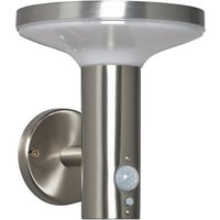 Clara PIR Solar 3000k LED Outdoor Modern Wall Lamp Satin Steel IP44