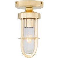 Oregon-A Outdoor Cage Well Glass Light, Natural Brass, Clear Glass, IP65