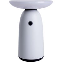 Ada Rechargeable Dimmable LED Solar Outdoor Portable Lamp White Dawn to Dusk Sensor 3000K IP44 Touch sensor