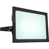 Net Lighting Helga I 10000lm Outdoor Flood Light Black IP44 Clear Glass Shade LED 6000K