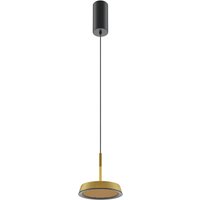 El Modern Pendant Ceiling Light Black 3000K 700lm Gold Shade