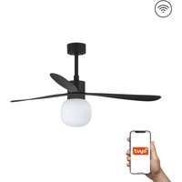 Amelia 132cm Tuya Smart Ceiling Fan LED Globe Black