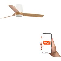 Mini Punt Tub 90cm Smart Ceiling Fan Black