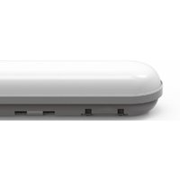 Linesta X2 Supervision LED IP65 1.5m Twin 230 56W Natural White 4000K, 6000lm, Inc. Driver
