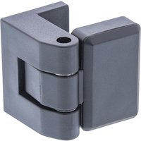 Triton RAX-MS-X13-X1, Türscharnier für Stand- / Wandverteiler, Tragkraft 15kg