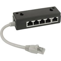 InLine® ISDN Verteiler, 5x RJ45 Buchse, 15 cm Kabel, Endwiderstände, schwarz