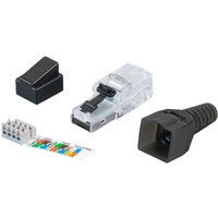 RJ45 Stecker + Zubehör ECOLAN® RJ45 Stecker UTP Cat.6, feldkonfektionierbar - 1 VPE = 50 St�ck