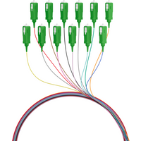 Faserpigtail SC/APC OS2 G657A2, farbiges Set 2m - 12 Stück