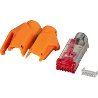 RJ45-Hirose Stecker STP, TM21 orange, 50, Stück, 3 Elemente, Cat. 6