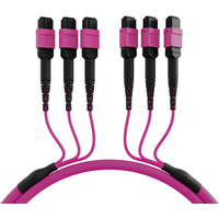 MTP®(F)-MTP®(F) Patchkabel OM4 48 Fasern, Typ A LSZH erika-violett 20m