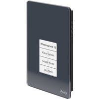 AUERSWALD TFS-Dialog 400, 4 Taster, anthrazit AUERSWALD TFS-Dialog 400, 4 Taster, anthrazit