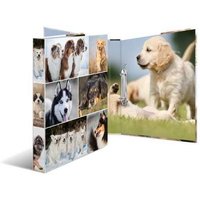 HERMA Ringbuch A4 Pferde 2D HERMA Ringbuch A4 Pferde 2D