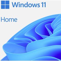 Windows 11 Home 64Bit DSP 1pk Englisch DVD