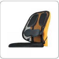 Fellowes Professional Series Mesh Back Support Padded Ref 8029901 Fellowes Professional Series Mesh Back Support Padded Ref 8029901