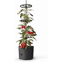 One Garden Enjoy 40% Discount on the Gardenico SelfWatering Tomato Climber Pot 29cm