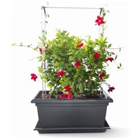 One Garden Enjoy 41% Discount on Gardenico SelfWatering Vertical Garden Kit 800mm