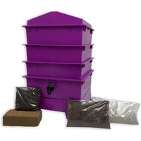 3 Tray Standard Tiger Rainbow Wormery Dark Orchid Purple Tiger Wormery