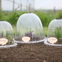 Haxnicks Original Victorian Bell Cloche (Pack Of 3)