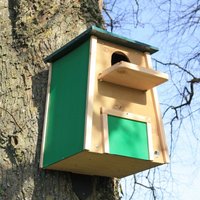 Barn Owl Nest Box Wildlife World